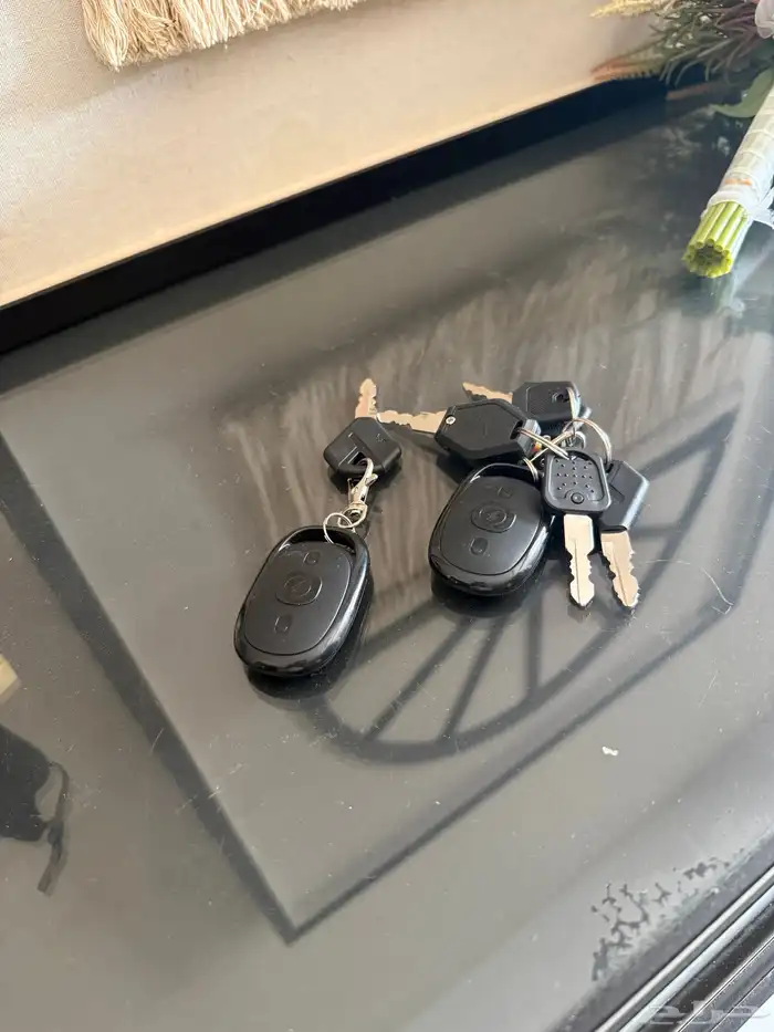 دباب كهربائي جديد 4