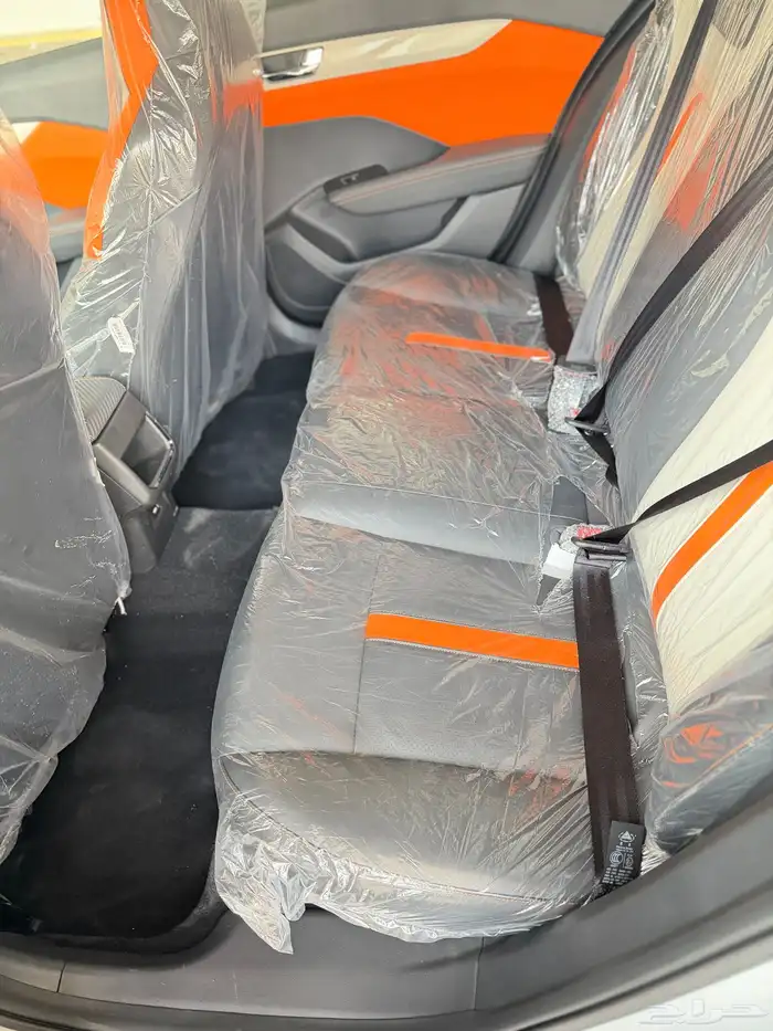 دونج فينج شاين E1 2025 اصفار وكالة لوحات 3