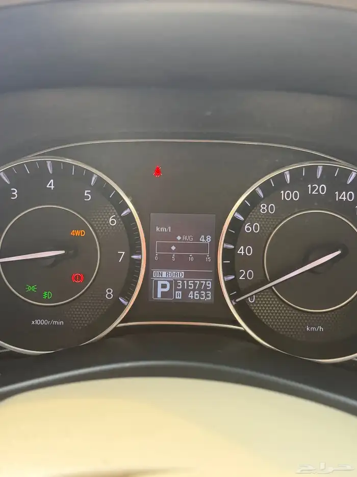 نيسان بلاتنيوم 2010 حجم 400 14