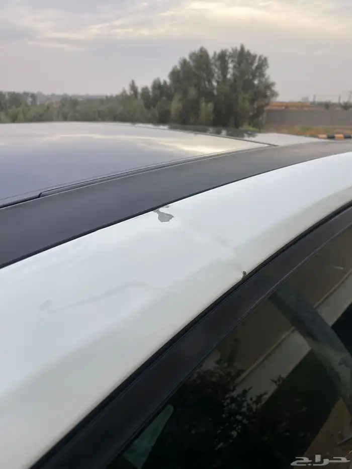 نيسان مكسيما 2018 نطيف 10