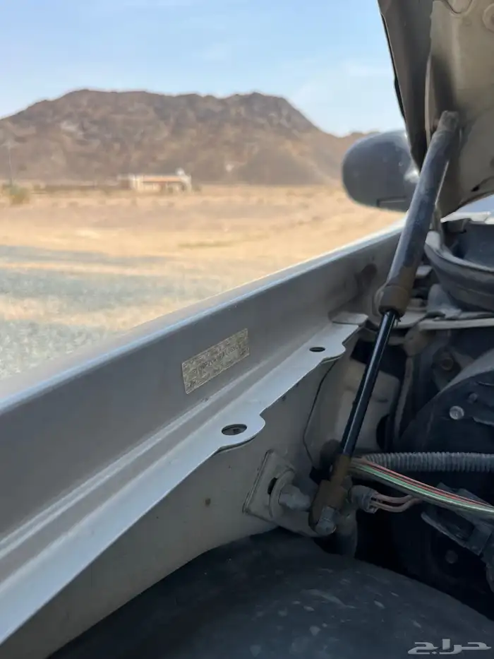 فكتوريا 2011 23