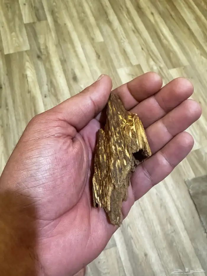 عود هندي قديم عمره اكثر من 20 عام 4