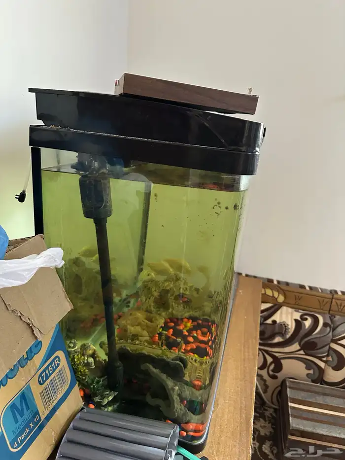 عرض أثاث منزلي 11