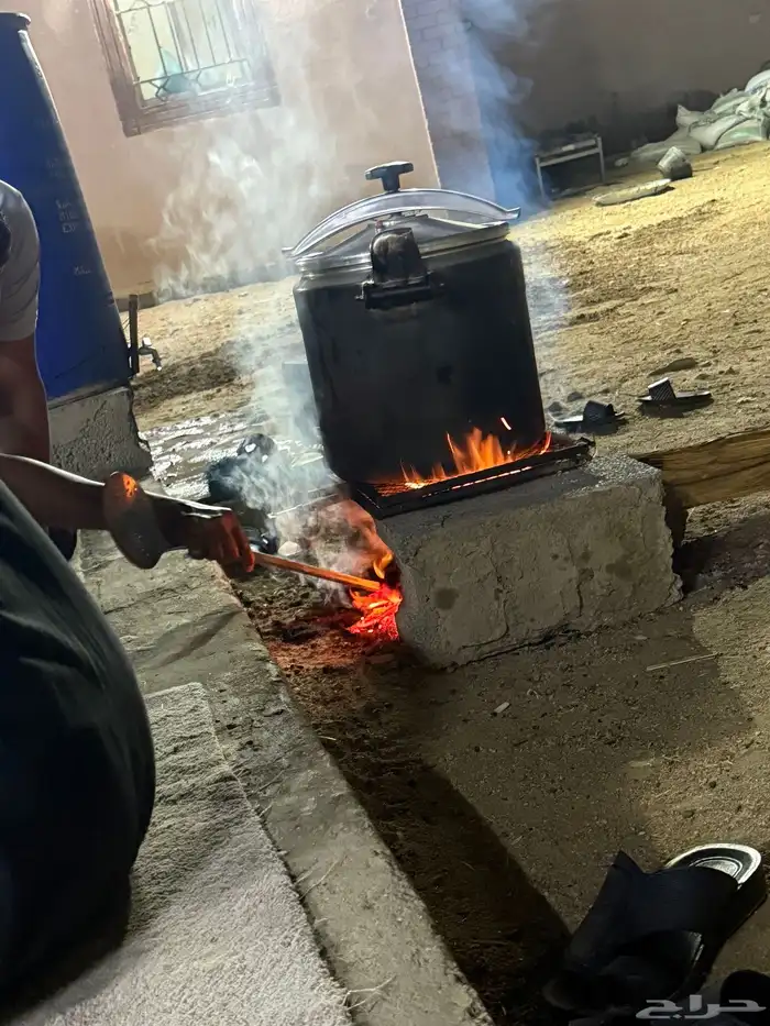 تيوس مستورده ابها احد رفيده الطايف مكه جده 1