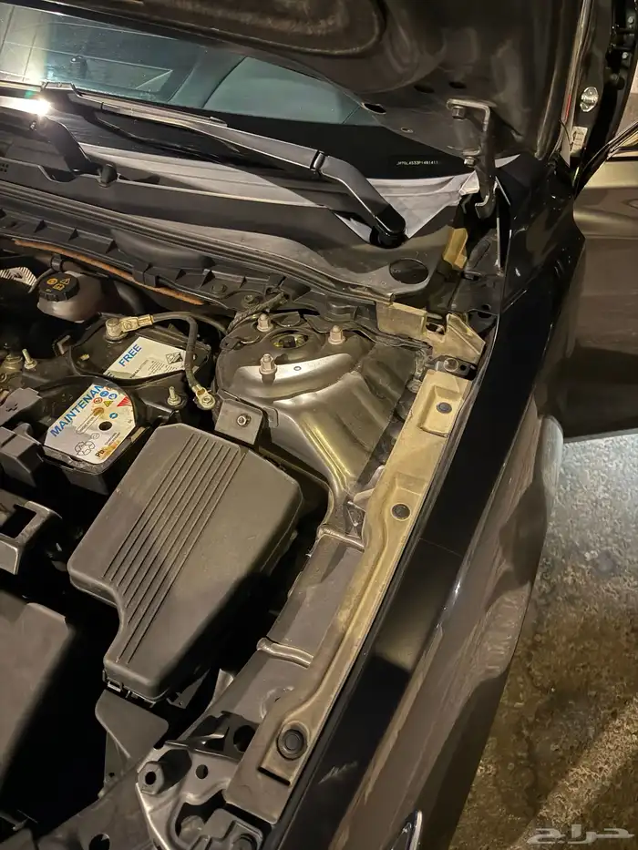 مازداء 2023 11