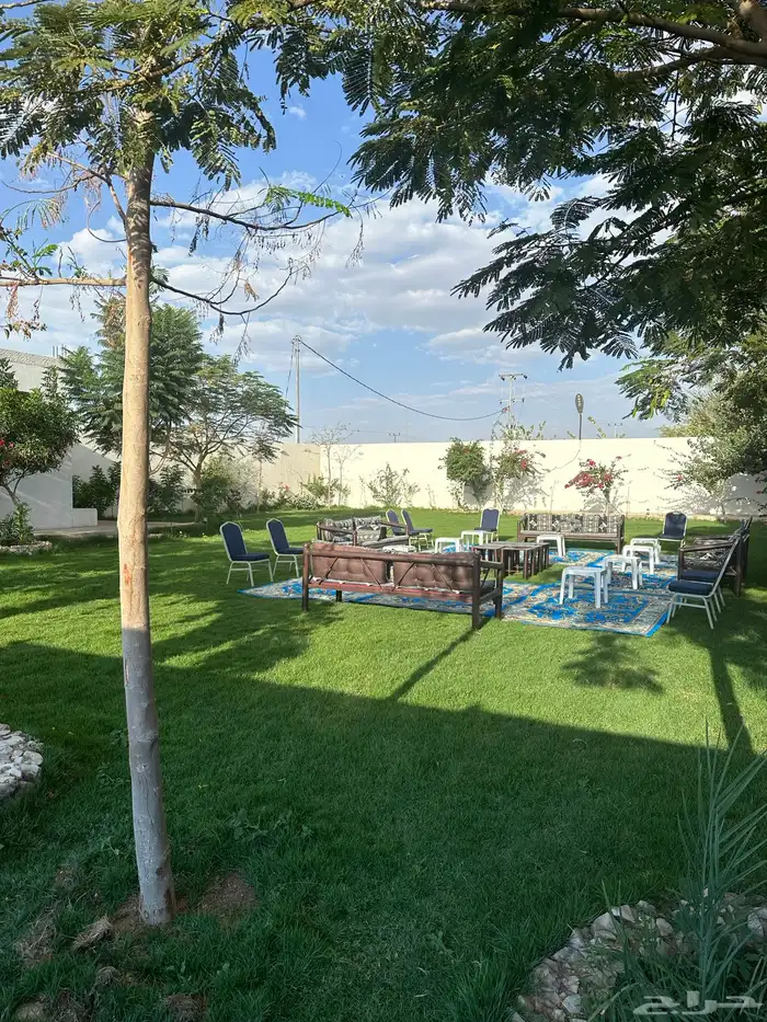 عشب طبيعي c2000 2