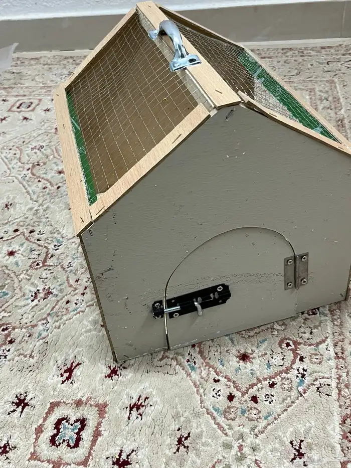 بط اصفر كتكوت زوجين 6