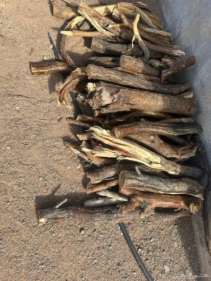حطب سمر 0