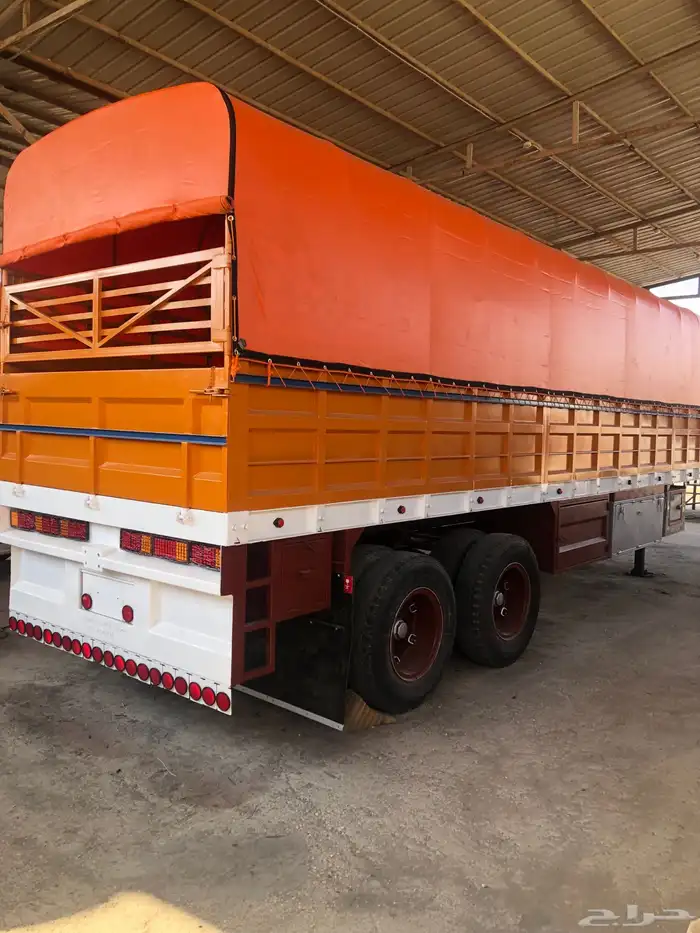 تيدر جوانب البدو 3