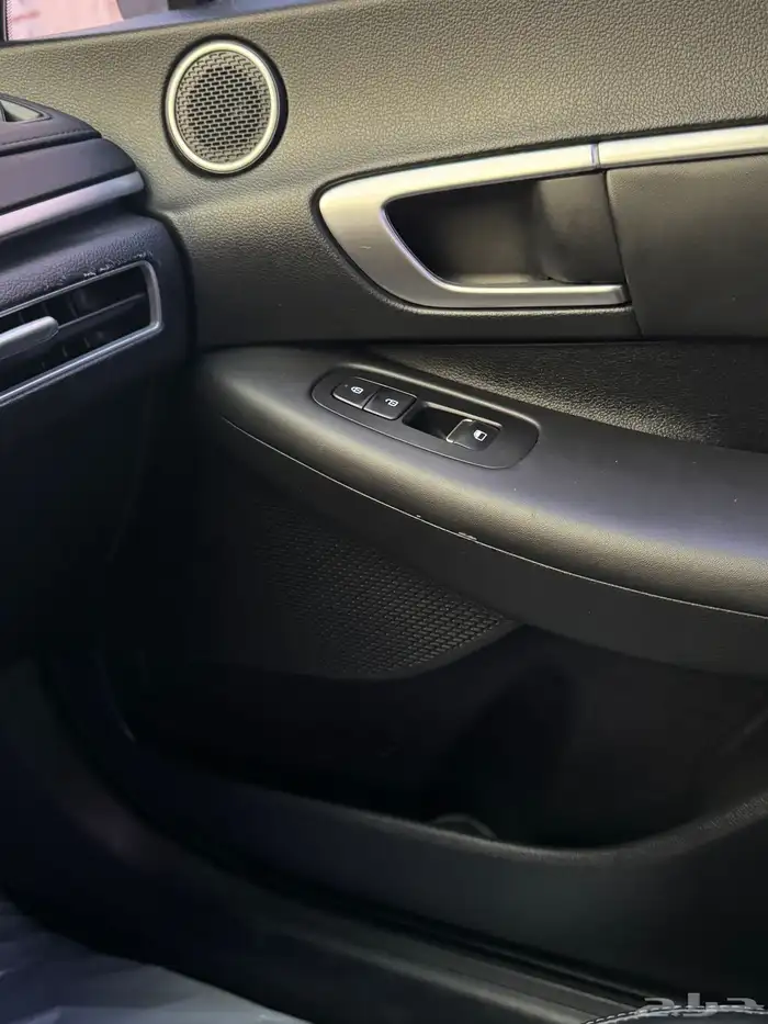 سوناتا 2020 28