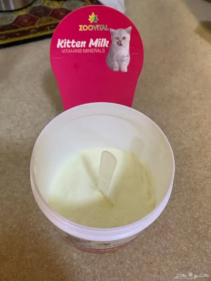 حليب قطط صغيرة ( كتن ) للتبرع 1