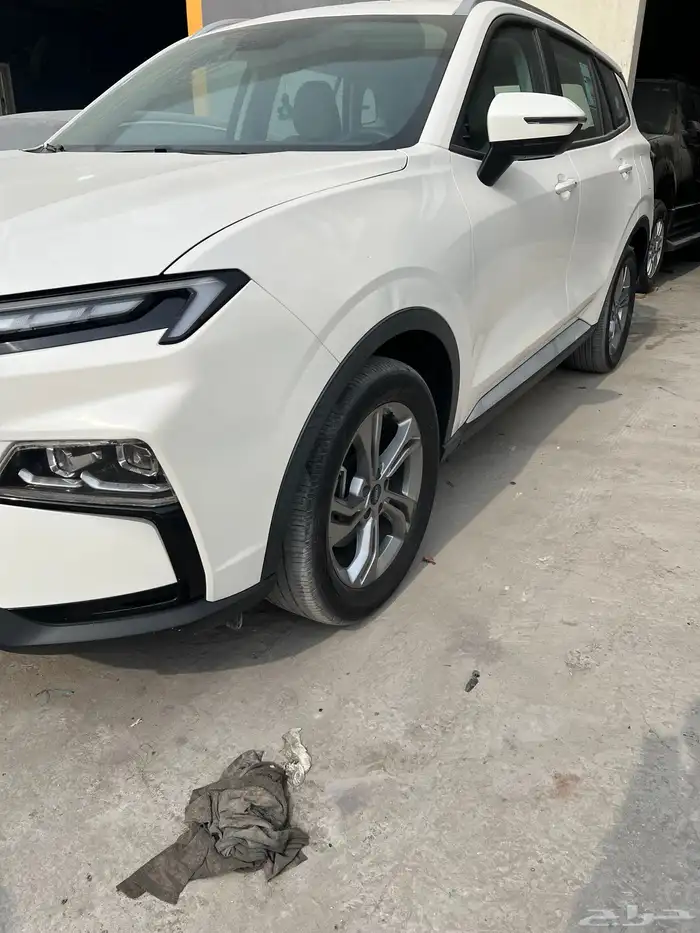 ford teritory ( ambient ) 2024 1