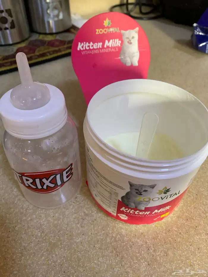 حليب قطط صغيرة ( كتن ) للتبرع 5