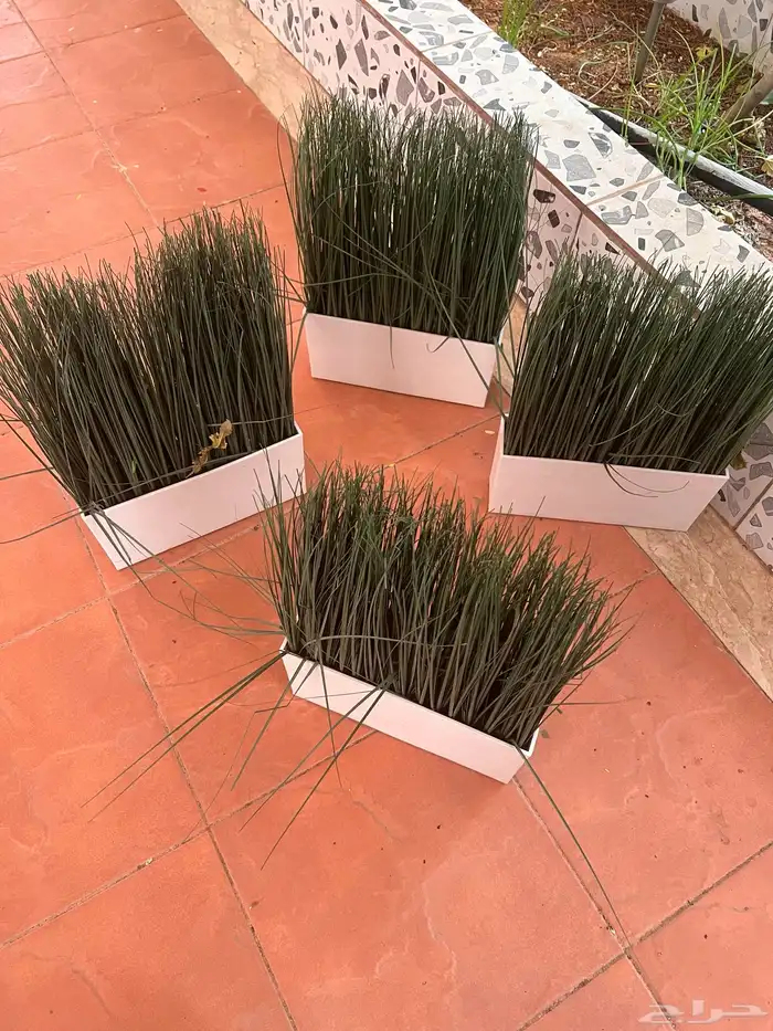 نبات صناعي 1