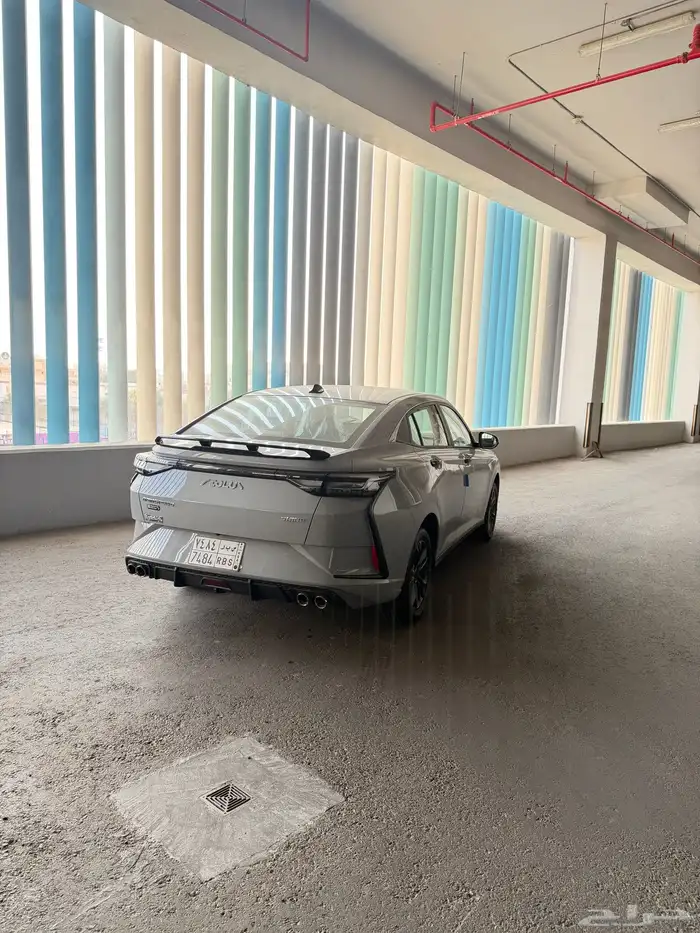 دونج فينج شاين E1 2025 اصفار وكالة لوحات 7