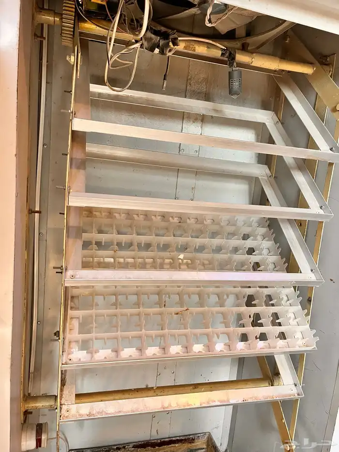 فقاسه اوتوماتيك 1