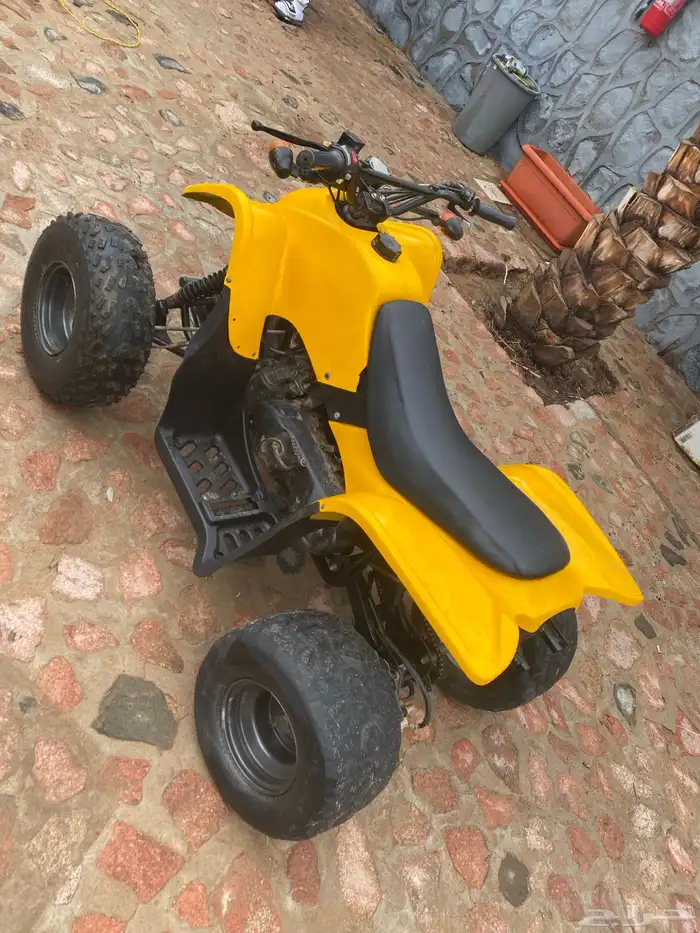 دباب سويدي مقاس 100 4