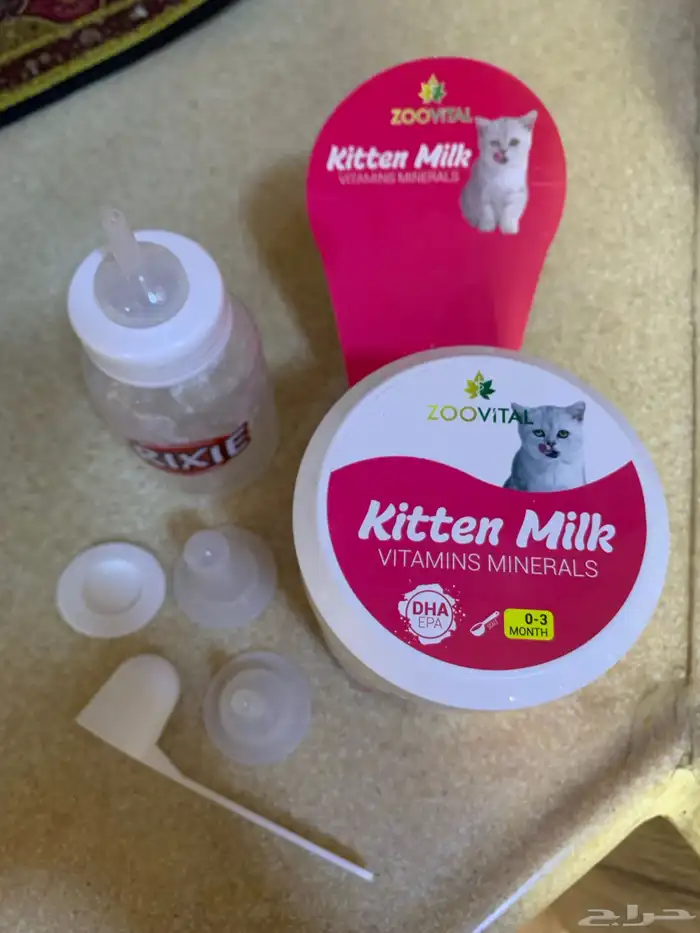 حليب قطط صغيرة ( كتن ) للتبرع 0