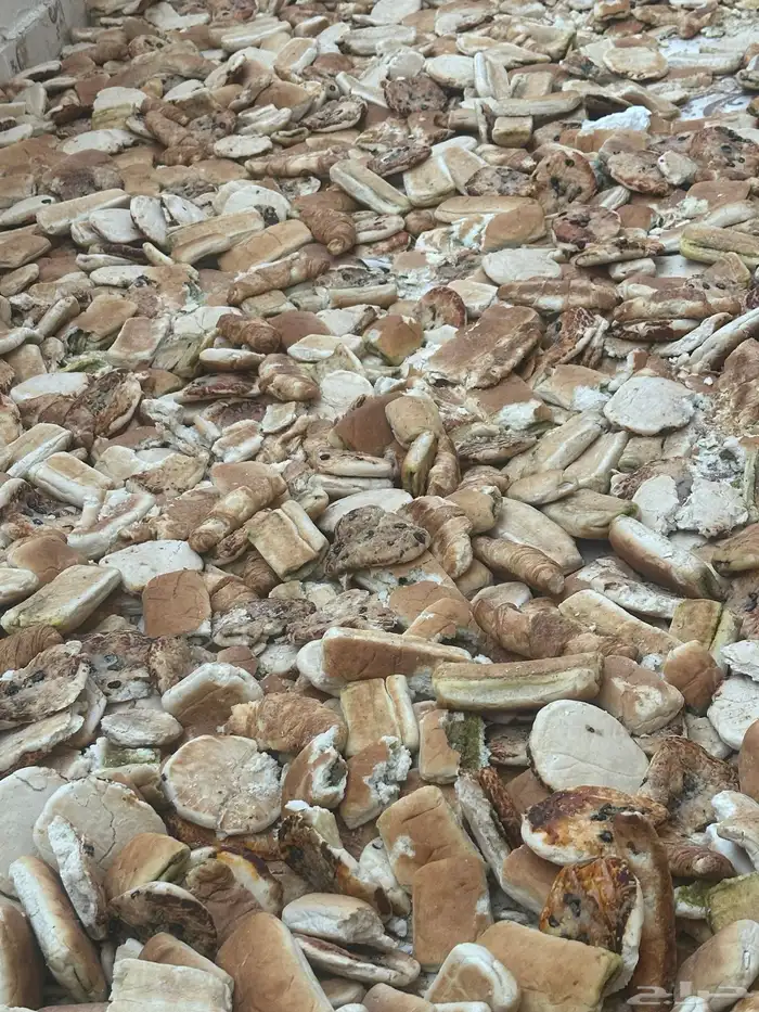 للبيع خبز ناشف السعر 20 1