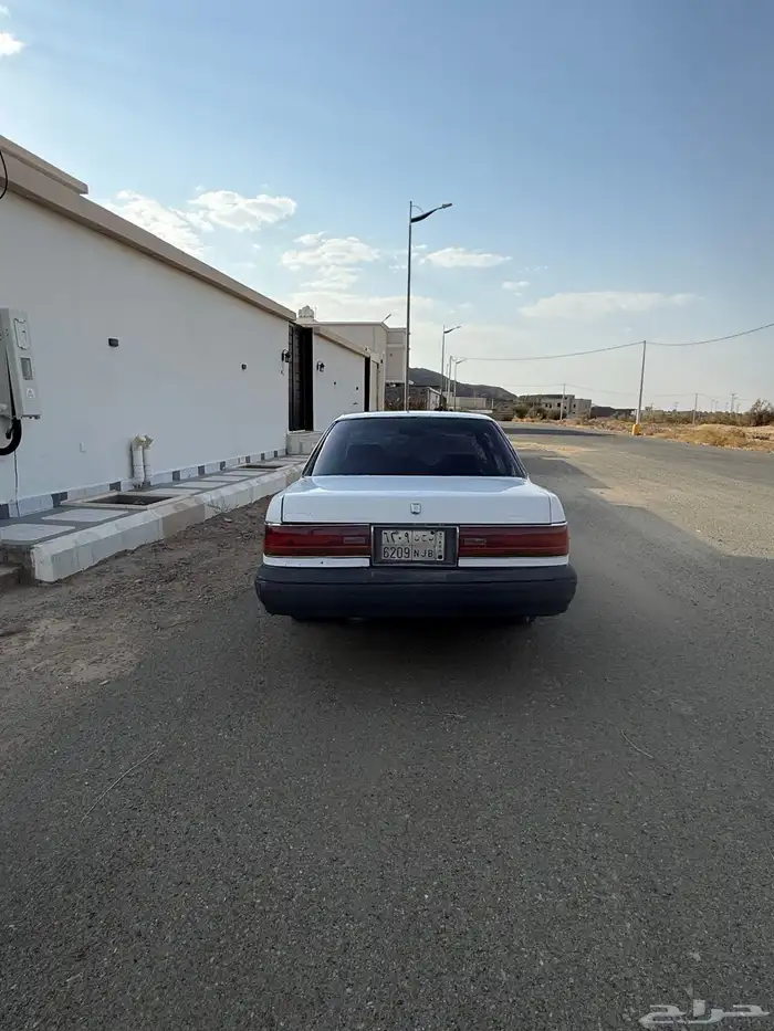 كراسيدا مفحوص مجدد على الشرط 5