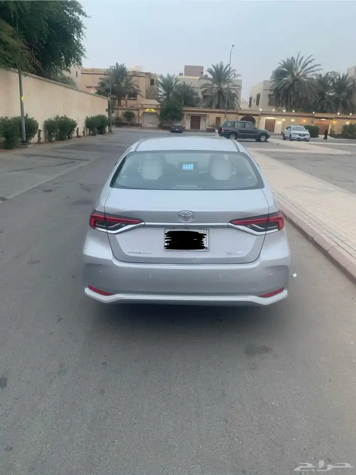 كوريلا 2023 للبيع 3