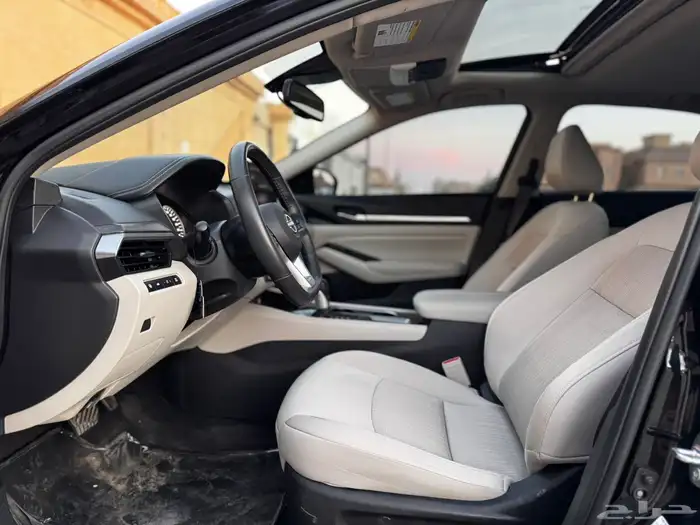 التيما 2024نص فل 19