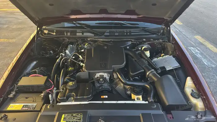 ماركيز 2011 11