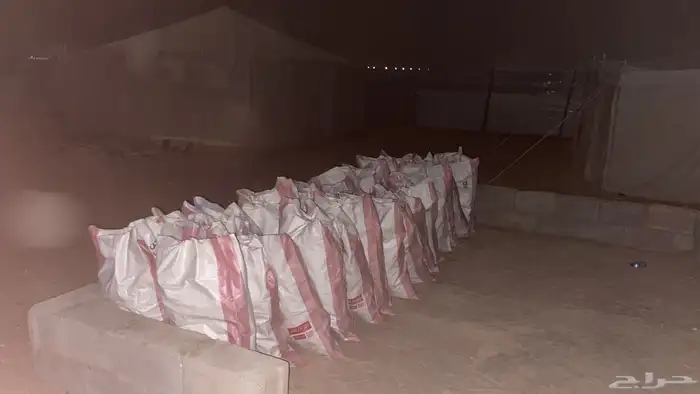 رمث خياش للبيع رمث رميثات خياش رمث 45 السعر 0