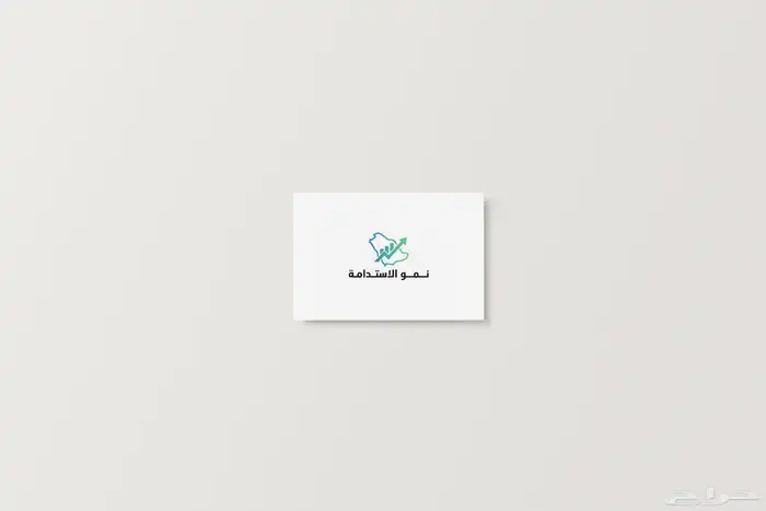 هوية بصريه مع موقع الكتروني 0