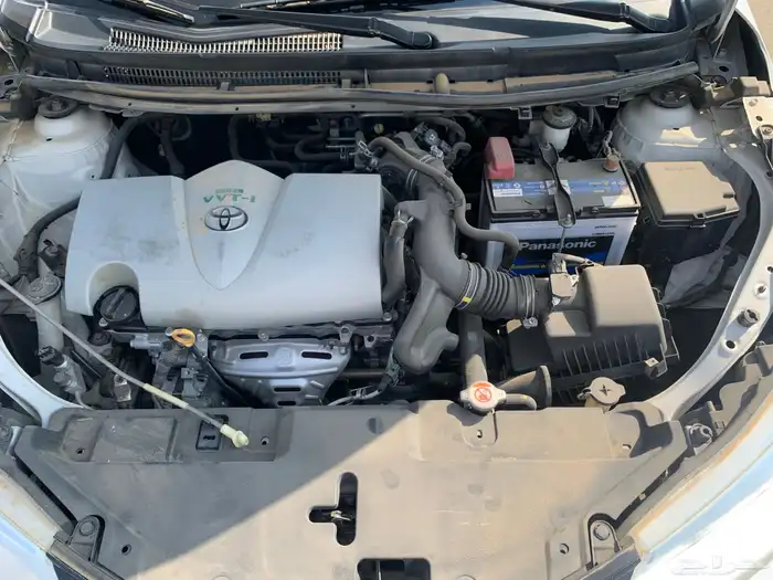 يارس 2021 بلد القنفذه 8