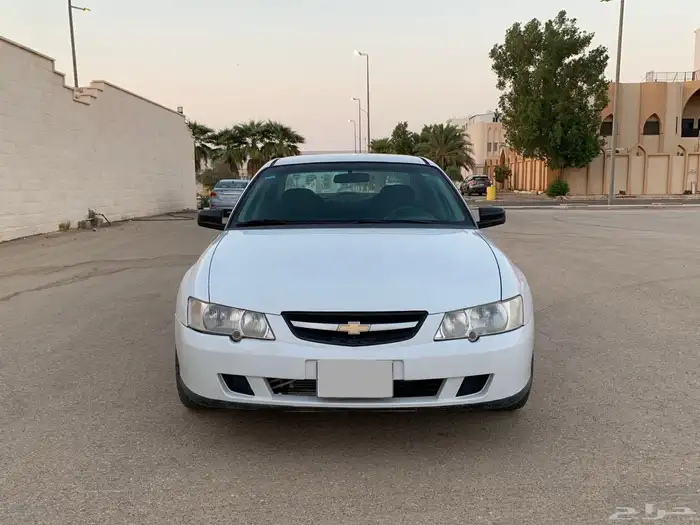 لومينا 2003 .. مبيعات حكومية .. ممشى قليل .. 6