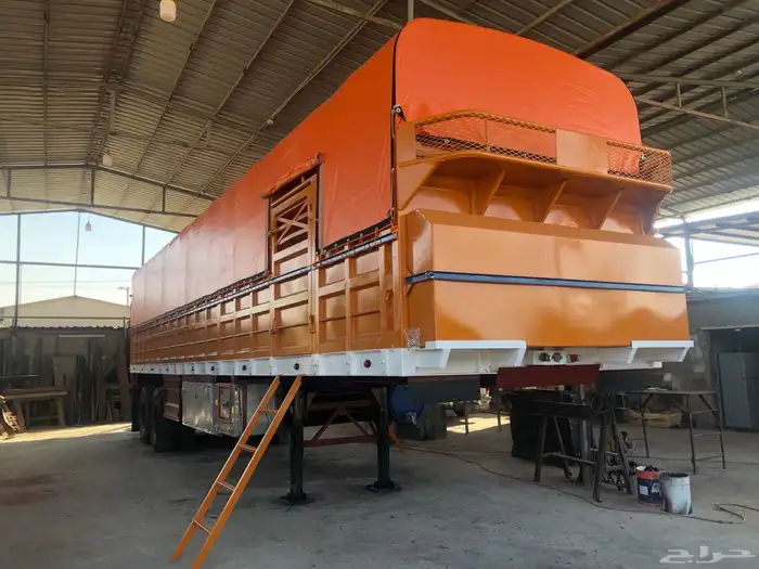 تيدر جوانب البدو 6