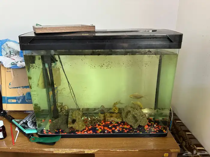 عرض أثاث منزلي 12