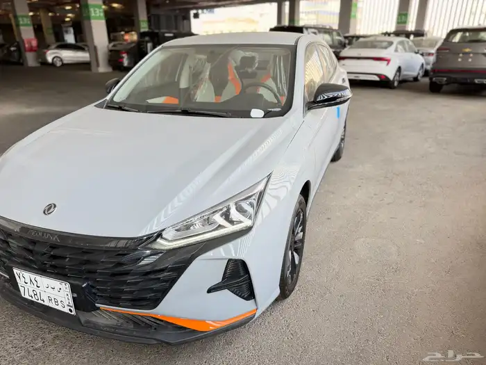 دونج فينج شاين E1 2025 اصفار وكالة لوحات 0