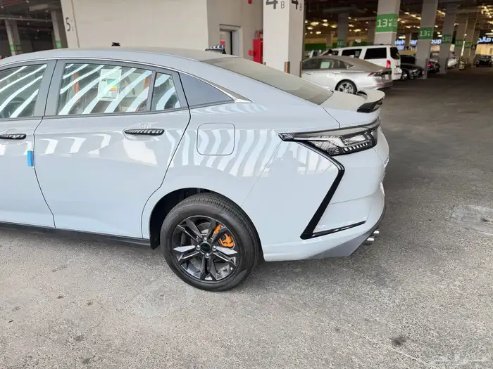 دونج فينج شاين E1 2025 اصفار وكالة لوحات 1