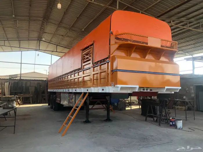 تيدر جوانب البدو 0