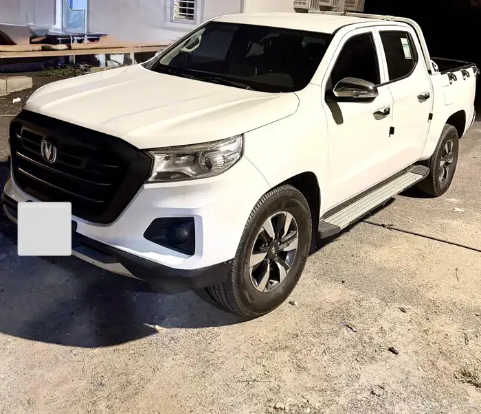 للبيع وانيت شانجان موديل 2022 1