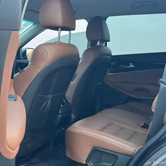 سورينتو ديزل 2019 شخصي 12