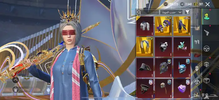 حساب ببجي 19