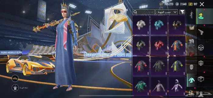 حساب ببجي 28