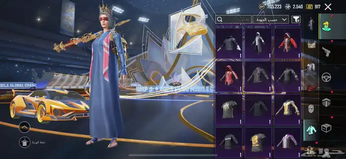 حساب ببجي 29