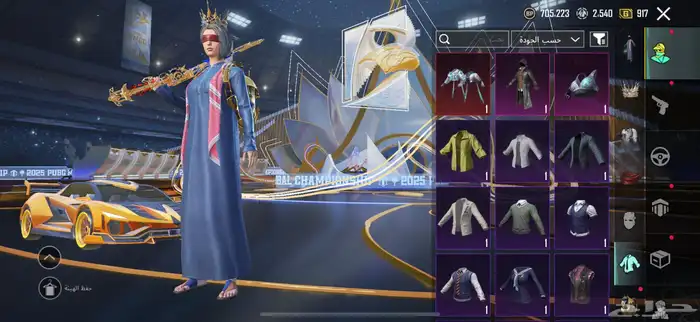 حساب ببجي 24