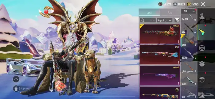 حساب ببجي 20