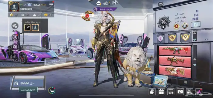 حساب ببجي 81