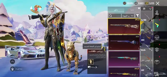 حساب ببجي 21