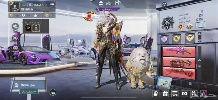 حساب ببجي 80