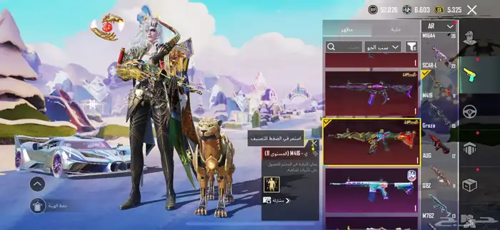 حساب ببجي 12