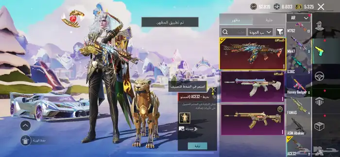 حساب ببجي 17