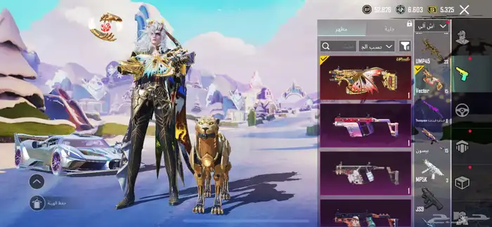 حساب ببجي 27