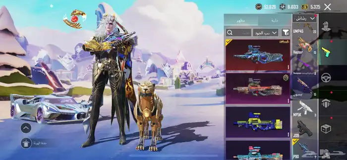 حساب ببجي 30